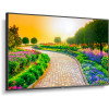 NEC MultiSync M431-AVT3 43" Class HDR 4K UHD Commercial IPS LED Display with ATSC Tuner