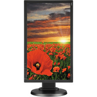 NEC E201W-BK MultiSync20" Eco-Friendly Widescreen LCD Computer Display