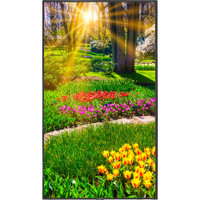 NEC M491 Series 49" Class 4K UHD Commercial IPS LED Display with integrated SoC Media Player