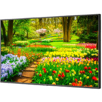 NEC M491 Series 49" Class 4K UHD Commercial IPS LED Display with integrated SoC Media Player
