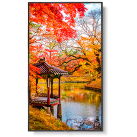 NEC MA491 Series 49" Class 4K UHD Commercial IPS LED Display with Integrated Intel Coffee Lake SDM PC