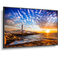NEC P555 Series 55" Class 4K UHD Commercial IPS LED Display with integrated SoC Media Player