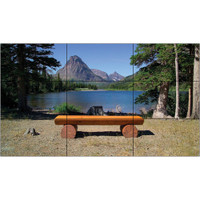 LG 55" 1080p Video-Wall Monitor