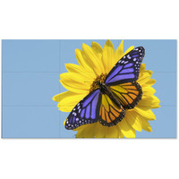 NEC 55" Ultra-Narrow Bezel 4 Display Video Wall NEC 55" Ultra-Narrow Bezel 4 Display Video Wall