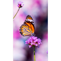 NEC 55" UN552V Ultra-Narrow Bezel 2x2 Display Video Wall