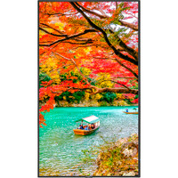 Sharp MA431-IR MA Series 43" 4K Commercial IR Touchscreen Sharp MA431-IR MA Series 43" 4K Commercial IR Touchscreen