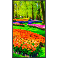 Sharp M551-PT M Series 55" 4K Commercial PCAP Touchscreen Sharp M551-PT M Series 55" 4K Commercial PCAP Touchscreen