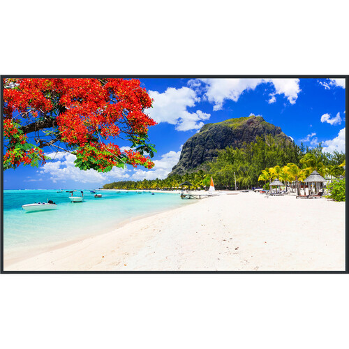 Panasonic TH-75SQ2HW  LED-backlit LCD display - 4K - for digital signage
