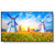 NEC MultiSync M651 65" Class HDR 4K UHD Commercial IPS LED Display
