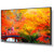 NEC MA491 Series 49" Class 4K UHD Commercial IPS LED Display with Integrated Intel Coffee Lake SDM PC