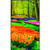 Sharp M551-PT M Series 55" 4K Commercial PCAP Touchscreen