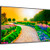 Sharp M551-PT M Series 55" 4K Commercial PCAP Touchscreen