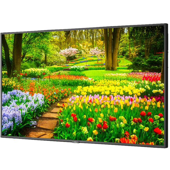 NEC MultiSync M491-PC5 M Series - 49" LED-backlit LCD display - 4K - for digital signage