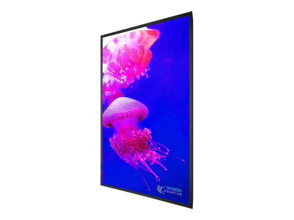 Planar Systems UltraRes X URX75 75" Class HDR 4K UHD LED Commercial Display