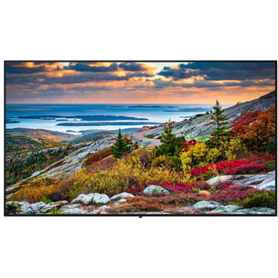 Panasonic TH-43CQE1W 43" Class 4K UHD Professional LED Display