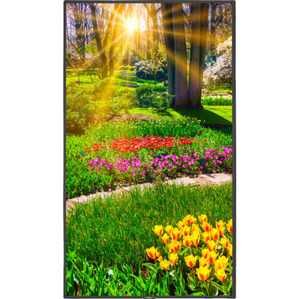 NEC MultiSync M491-PC5 M Series - 49" LED-backlit LCD display - 4K - for digital signage