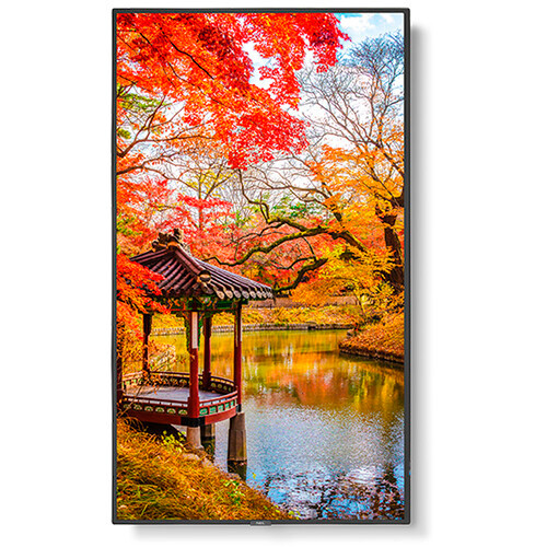 NEC MA491 Series 49" Class 4K UHD Commercial IPS LED Display with Integrated Intel Coffee Lake SDM PC