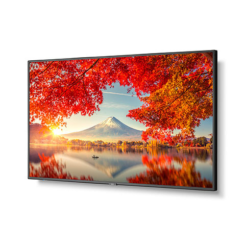 NEC MA551 Series 55" Class 4K UHD Commercial IPS LED Display with Integrated Intel Coffee Lake SDM PC