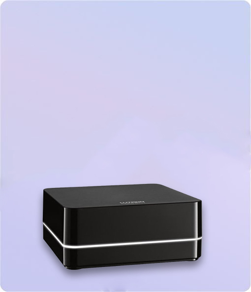 Ethernet Switches