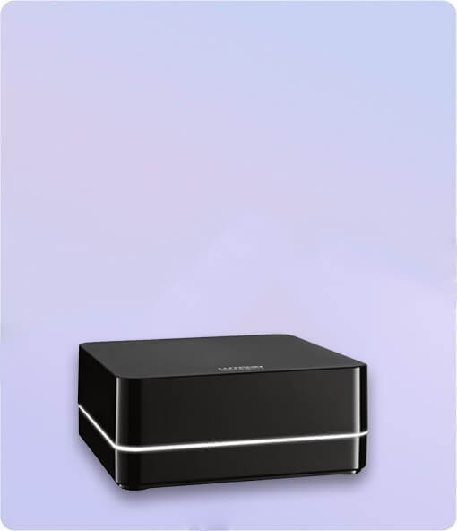 Ethernet Switches