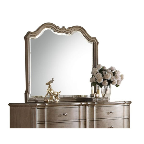 Acme Furniture Chelmsford Antique Taupe Mirror