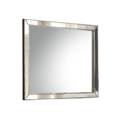 Acme Furniture Voeville II Platinum Mirror