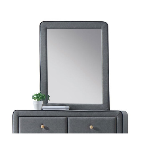 Acme Furniture Valda Light Gray Mirror