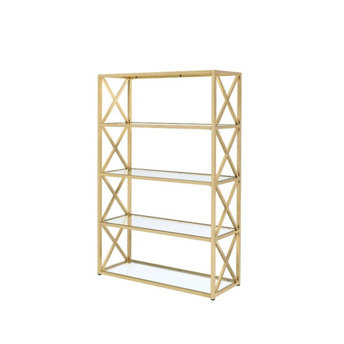 Acme Furniture Milavera Gold Clear Bookshelf