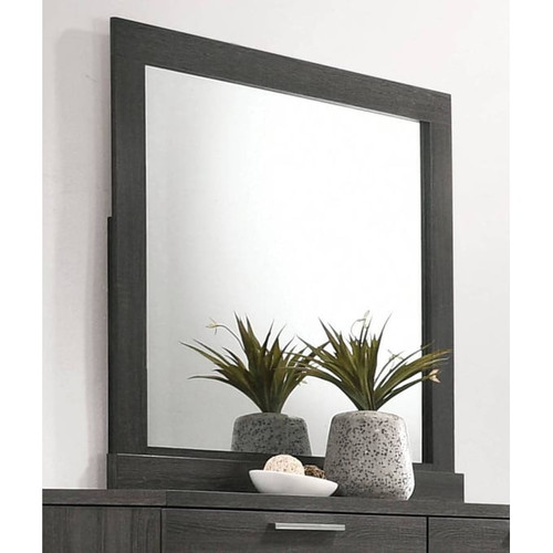 Acme Furniture Lantha Gray Oak Mirror