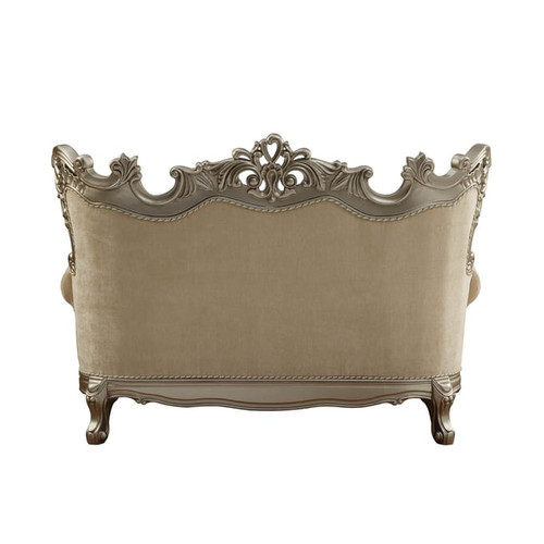 Acme Furniture Ranita Champagne Loveseat