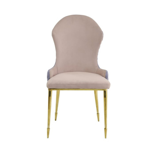 2 Acme Furniture Caolan Tan Lavender Gold Side Chairs