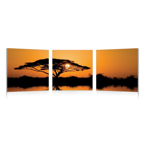 Baxton Studio Savannah Sunset Mounted Photography Print Triptych