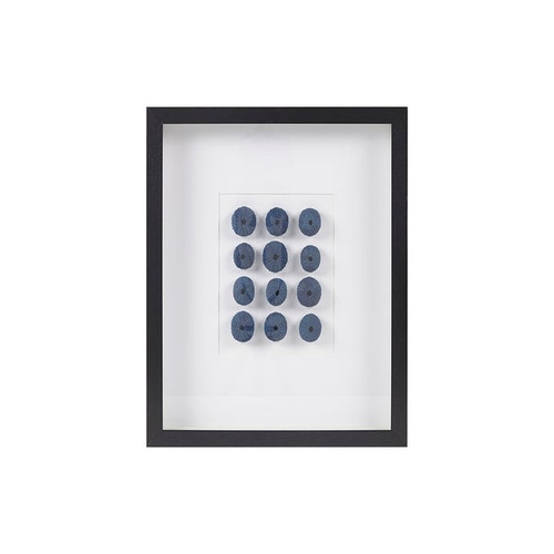 Olliix Martha Stewart Indigo Shells Blue Framed Sea Urchin Shadow Box Wall Decor