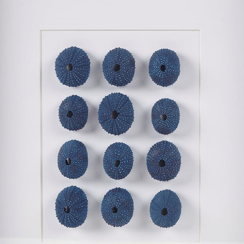 Olliix Martha Stewart Indigo Shells Blue Framed Sea Urchin Shadow Box Wall Decor