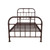 Acme Furniture Nicipolis Sandy Gray Beds