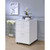 Acme Furniture Coleen File Cabinets