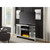 Acme Furniture Noralie Mirrored Glass TV Stand with Fireplace