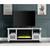 Acme Furniture Noralie Mirrored TV Stand with 2 Drawers Fireplace