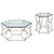 Furniture of America Zola Chrome End Table