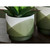 Ashley Furniture Ardenridge Green White 2pc Planter Set