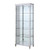 Chintaly Imports Clear Polished Stainless Steel Tempered Glass Curio
