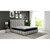 Picket House Butterfly Grey Luna 12 Inch Mattresses