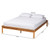 Baxton Studio Efren Honey Oak Bed Frames