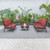 LeisureMod Walbrooke Brown Patio Conversation 4pc Seating Sets Round Fire Pit