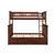 AFI Furnishings Columbia Bunk Beds with Raised Panel Trundle