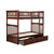 AFI Furnishings Columbia Bunk Beds with Raised Panel Trundle