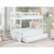 AFI Furnishings Columbia Bunk Beds with Raised Panel Trundle