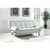 Coaster Furniture Dilleston White Sofa Bed