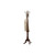 Powell Furniture Barrier Reef Warm Nut Brown Coat Rack