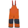 Rider Insulated Waterproof Winter Snowpants Rider Insulated Waterproof Winter Snowpants